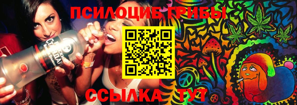Среднеуральск  купить наркотик  Вход с VPN  Галлюциногенные грибы прущие грибы 